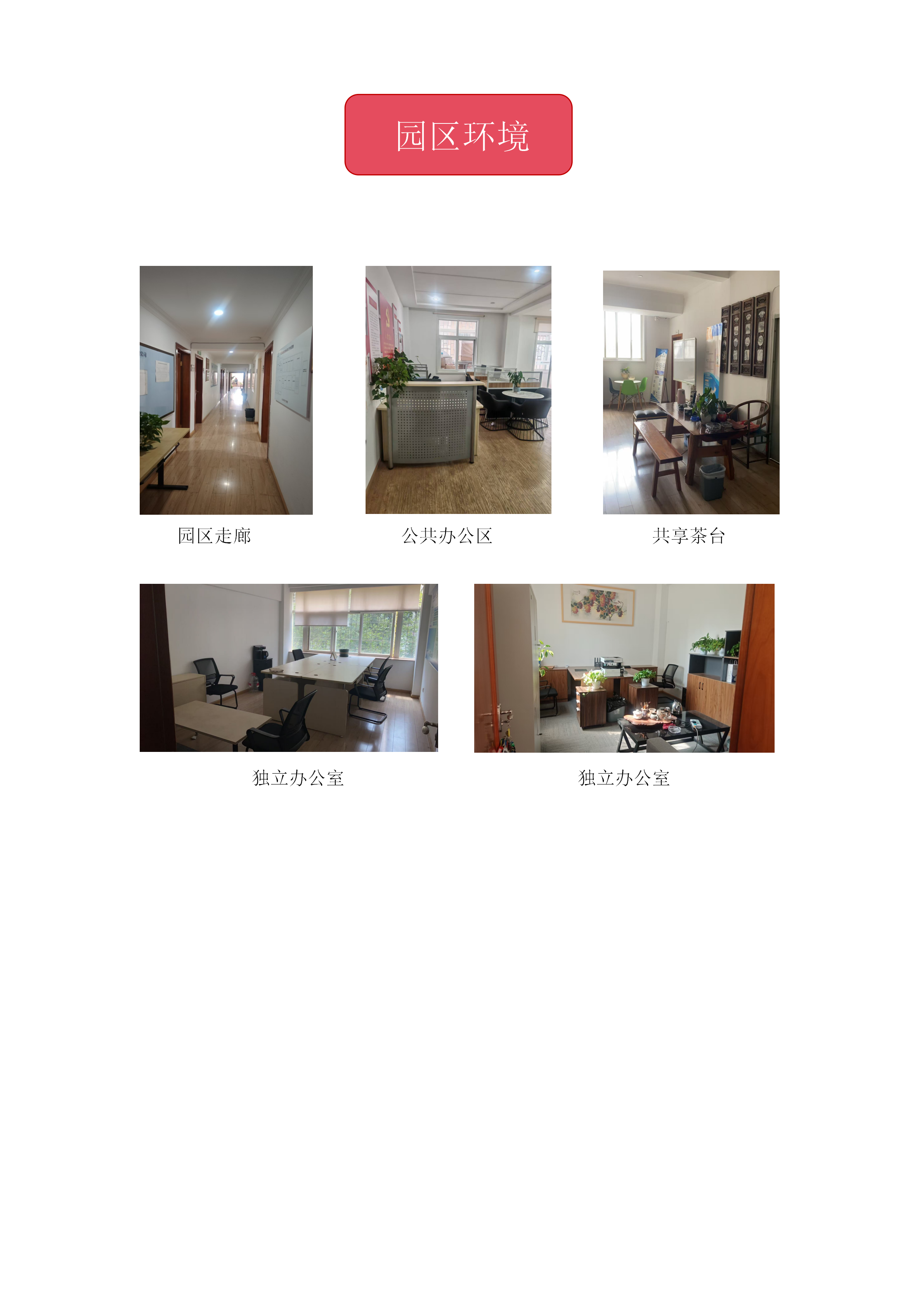文字文稿1_01